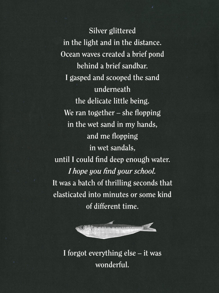 Silver glitteredin the light and in the distance. Ocean waves created a brief pond behind a brief sandbar. I gasped and scooped the sand underneath the delicate little being. We ran together- she flopping in the wet sand in my hands, and me flopping in wet sandals, until I could find deep enough water. I hope you find your school. It was a batch of thrilling seconds that elasticated into minutes or some kind of different time. I forgot everything else—it was wonderful.